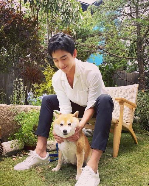 杨洋爆料视频最新消息,娱乐圈幕后真相大曝光  第3张